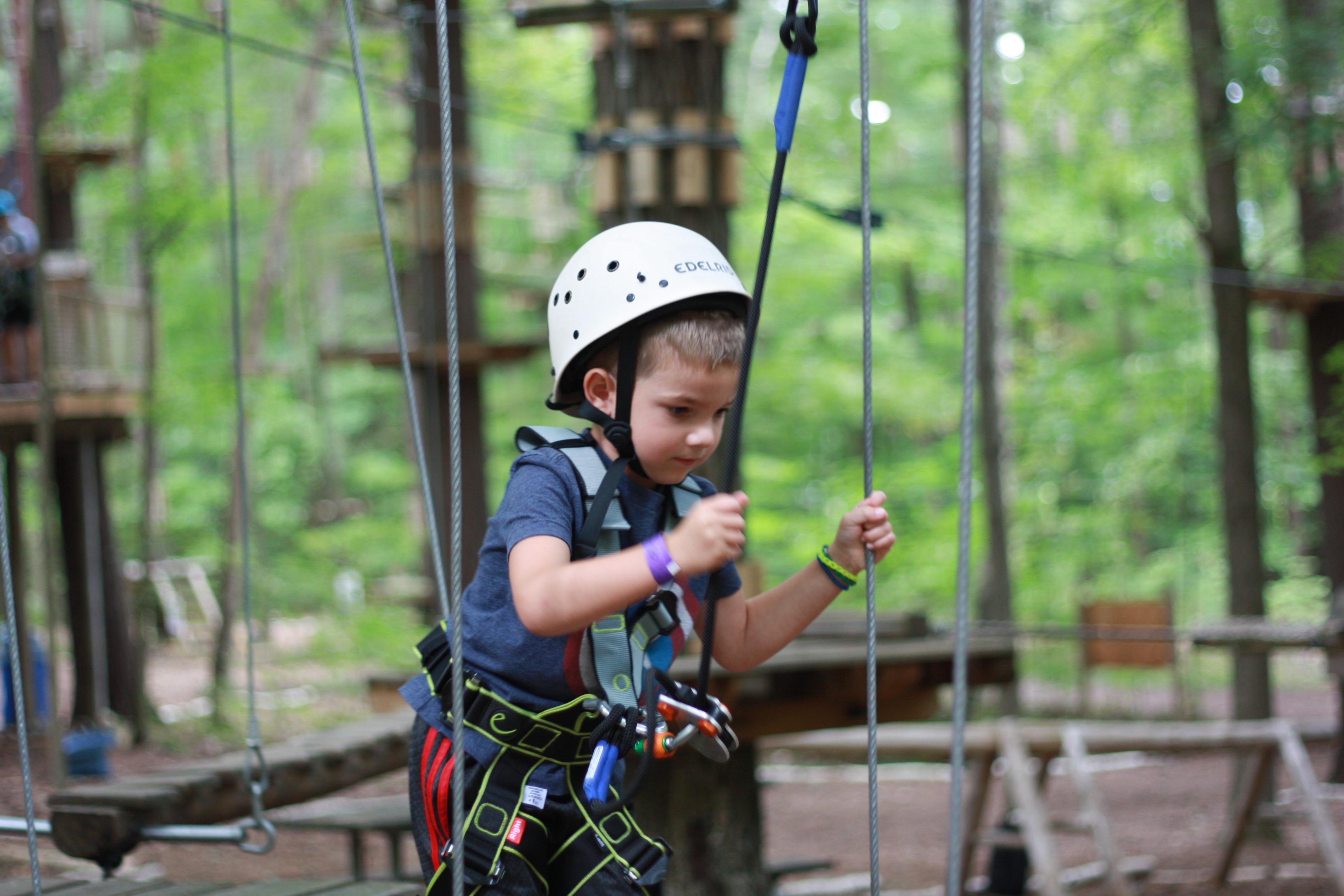 Skywood_1