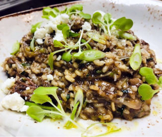 Union_Risotto Braised short rib risotto