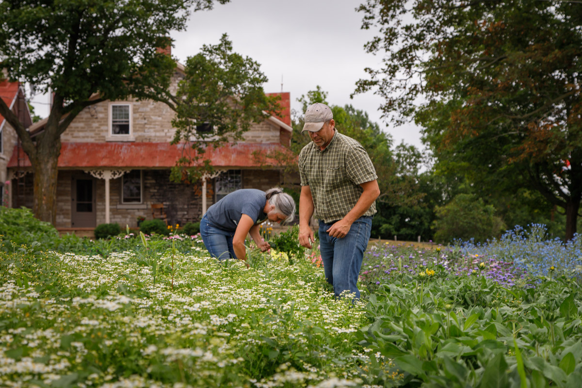 maple_ridge_farm_image4