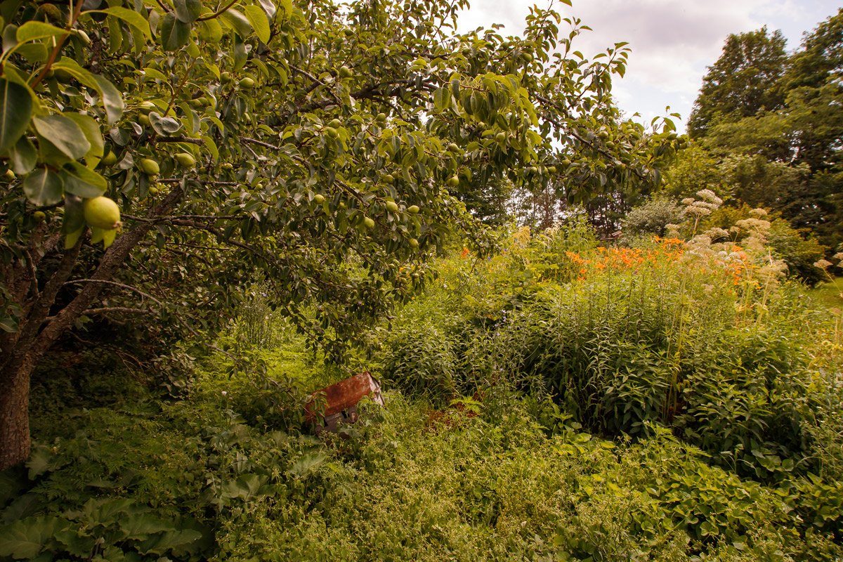 sonset_farm_image3