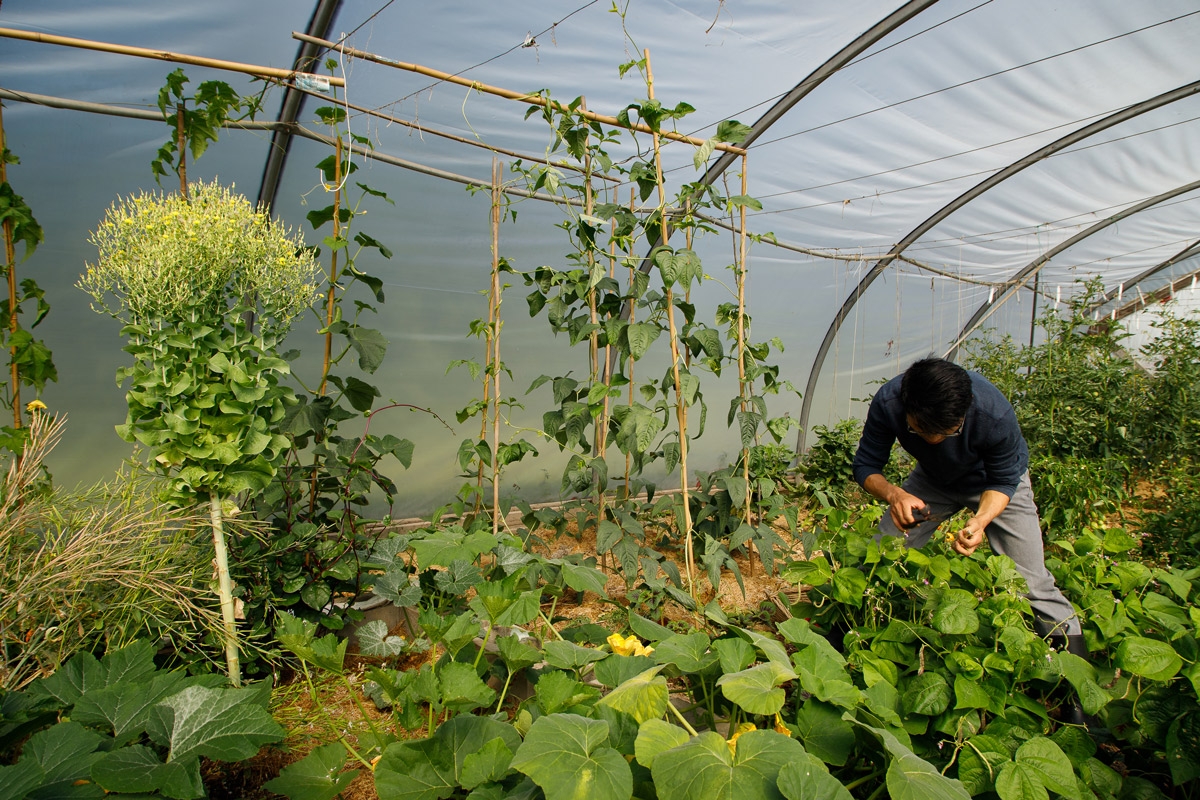 ecological_farm_image1