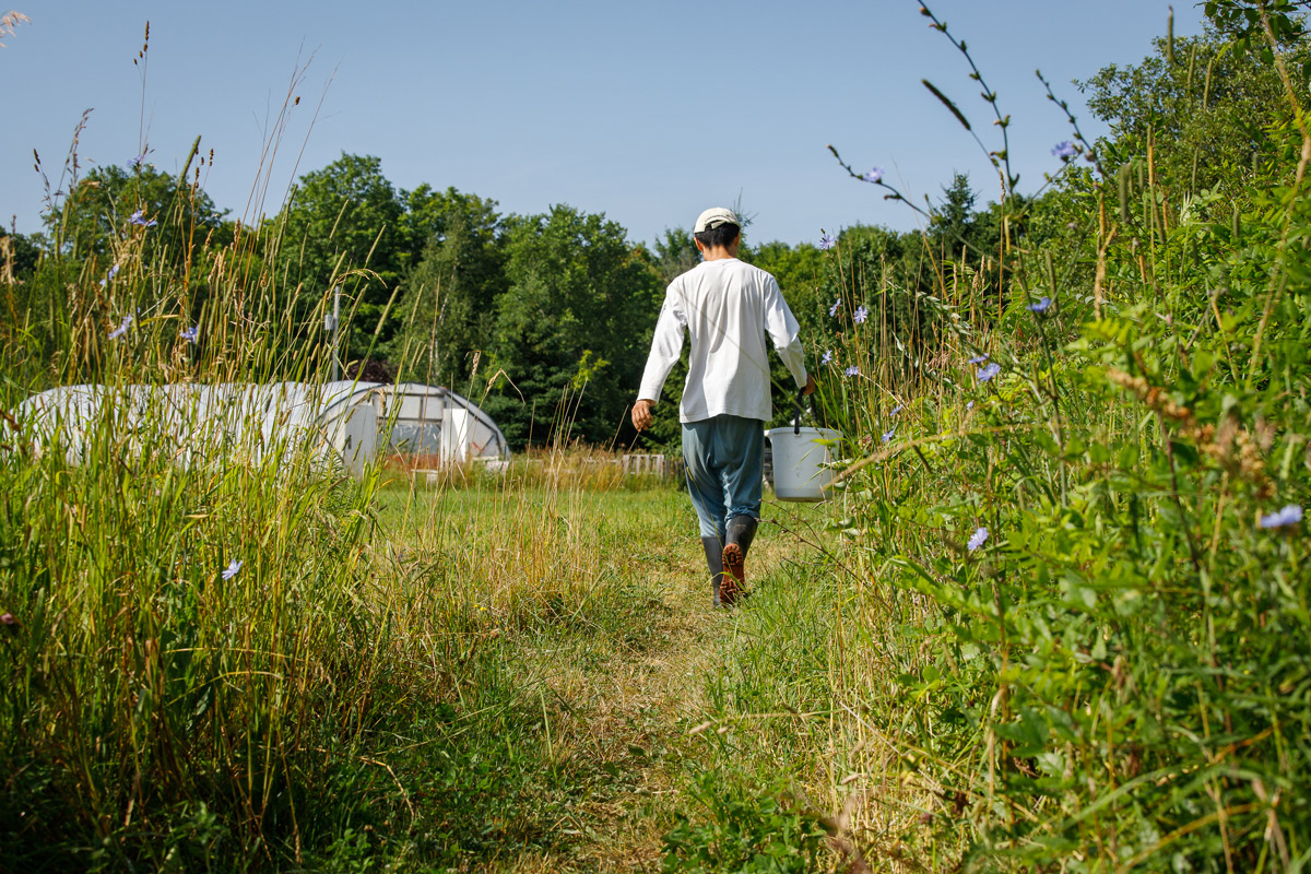 ecological_farm_image5