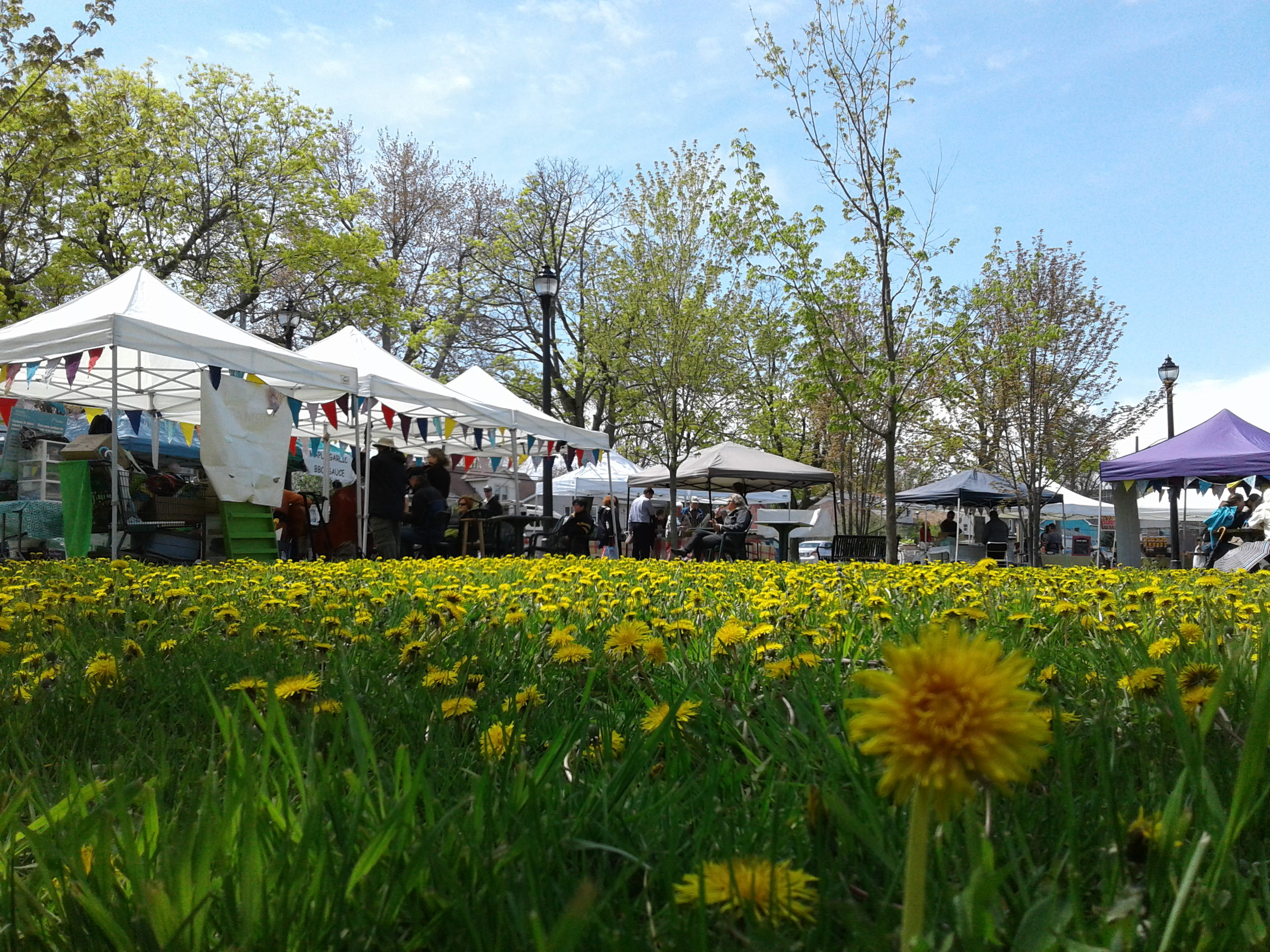 RS11677_Memorial Centre Farmers Market Memorial Centre Farmers Market